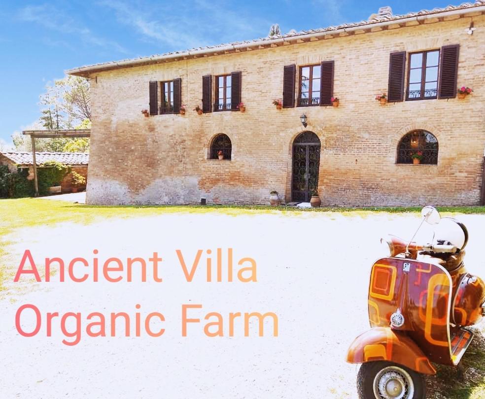 Villa Poggio Al Sole Bio Agriturismo Private Pool San Rocco a Pilli Zewnętrze zdjęcie