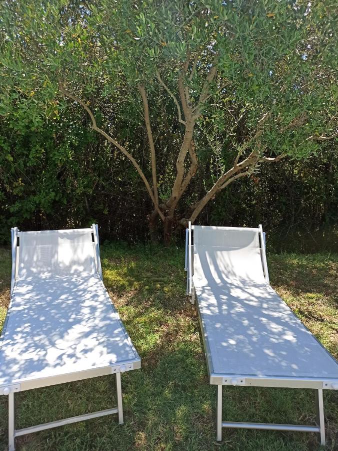 Villa Poggio Al Sole Bio Agriturismo Private Pool San Rocco a Pilli Zewnętrze zdjęcie