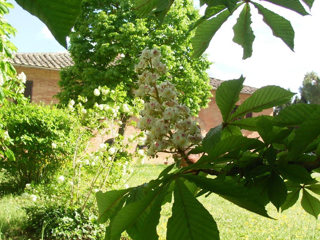 Villa Poggio Al Sole Bio Agriturismo Private Pool San Rocco a Pilli Zewnętrze zdjęcie