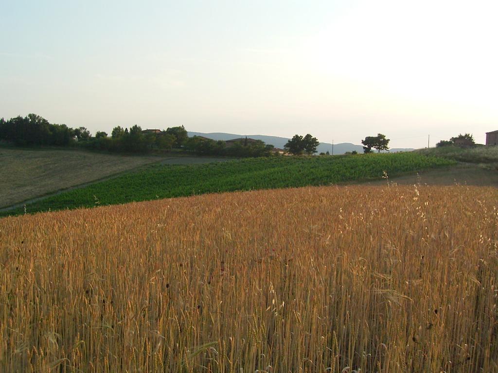 Villa Poggio Al Sole Bio Agriturismo Private Pool San Rocco a Pilli Zewnętrze zdjęcie