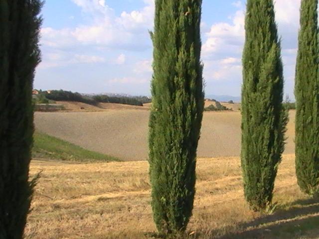 Villa Poggio Al Sole Bio Agriturismo Private Pool San Rocco a Pilli Zewnętrze zdjęcie